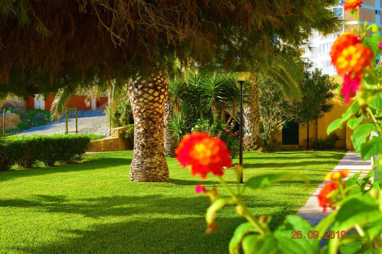 Bungalo En Primera Linea De La Playa El Campello Extérieur photo